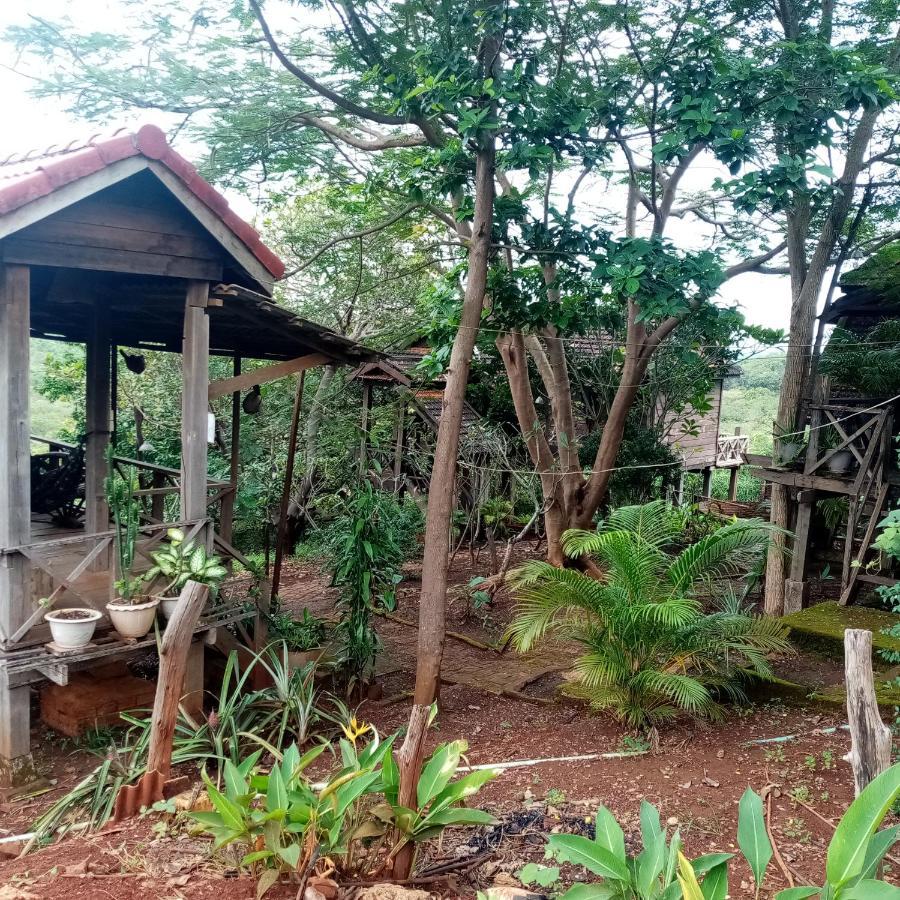 Quiet Garden View Lodge&Trekking Banlung Exteriér fotografie